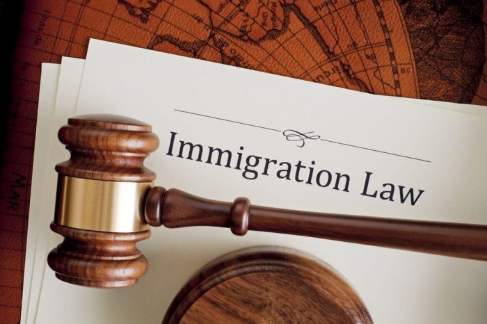 Lawyers immigration topteny