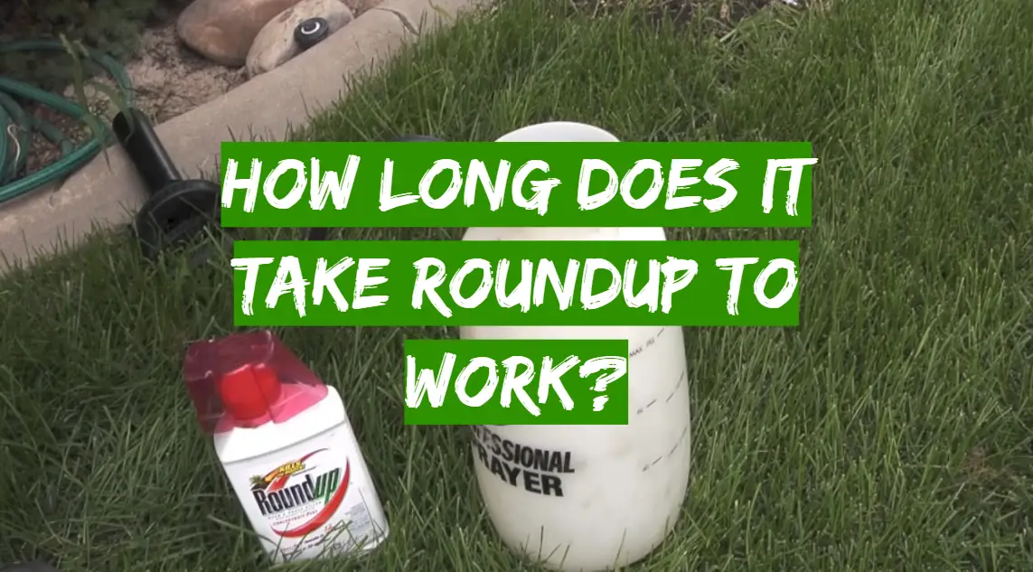 How long does roundup take to work