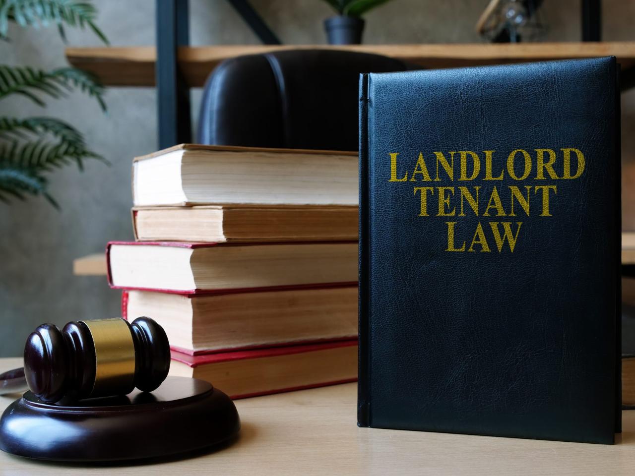 Attorney for landlord tenant laws