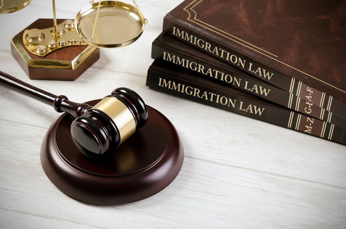 Top immigration attorney in usa