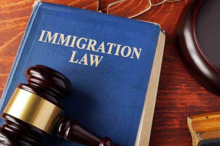 Best immigration attorney in usa avovo