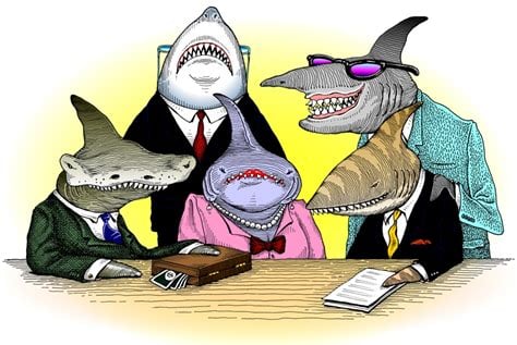 attorney shark law office