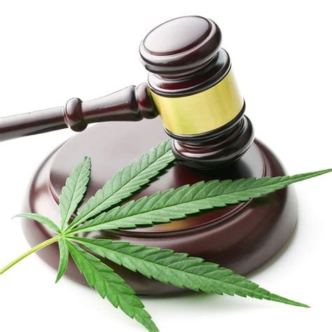 best marijuana lawyer in arizona