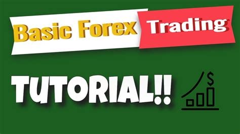 the basic of forex trading