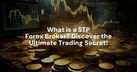 stp forex broker