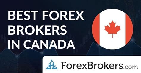 canadian forex traders